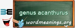 WordMeaning blackboard for genus acanthurus
